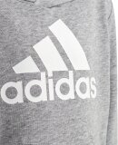 ADIDAS  - KIDS BL FT HOODY