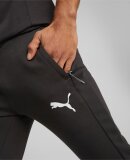 PUMA DENMARK - M EVOSTRIPE PANTS