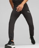 PUMA DENMARK - M EVOSTRIPE PANTS