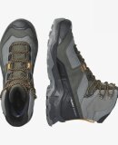 SALOMON - M QUEST ELEMENT GTX