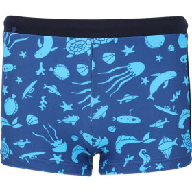 ZIG ZAG - KIDS BUDDY SWIM TRUNKS