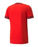 PUMA DENMARK - M TEAMFINAL JERSEY