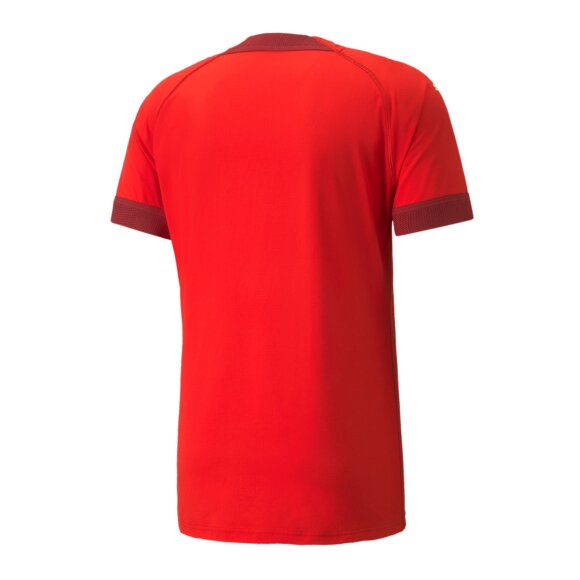 PUMA DENMARK - M TEAMFINAL JERSEY