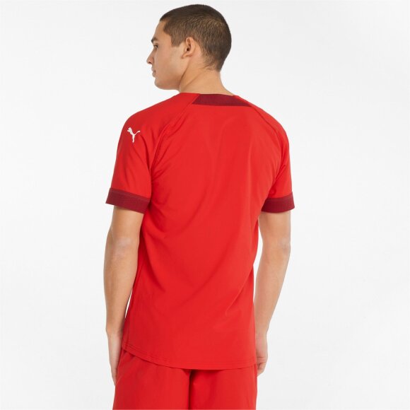 PUMA DENMARK - M TEAMFINAL JERSEY