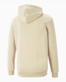 PUMA DENMARK - M ESS SMALL LOGO HOODIE FL