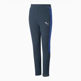 PUMA DENMARK - B EVOSTRIKE PANTS