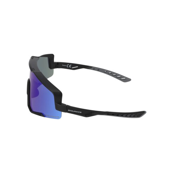 ENDURANCE - U HERNANDO SPORTS GLASS