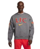 NIKE - M LIVERPOOL FC SOLO SWSH