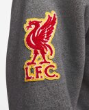 NIKE - M LIVERPOOL FC SOLO SWSH