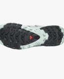 SALOMON - SALOMON DAME TERRÆNSKO W XA PRO 3D V9