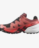 SALOMON - U SPIKECROSS 6 GTX