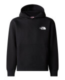 THE NORTH FACE - B MOUNTAIN LINE HOOD