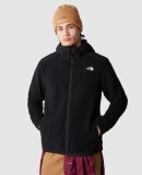 THE NORTH FACE - M ALPINE 200 POLARTEC HOODY