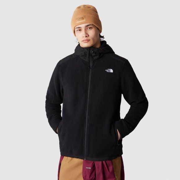 THE NORTH FACE - M ALPINE 200 POLARTEC HOODY