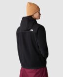 THE NORTH FACE - M ALPINE 200 POLARTEC HOODY