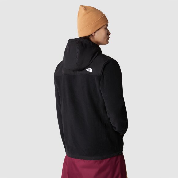 THE NORTH FACE - M ALPINE 200 POLARTEC HOODY