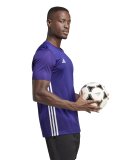 ADIDAS - M TABELLA 23 JERSEY ADIDAS - M TABELLA 23 JERSEY