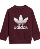 ADIDAS  - INF CREW SET