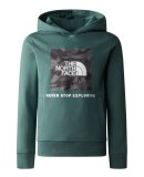 THE NORTH FACE - THE NORTH FACE HOODIE TIL BØRN TEENS BOX P/O HOODIE