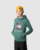 THE NORTH FACE - THE NORTH FACE HOODIE TIL BØRN TEENS BOX P/O HOODIE