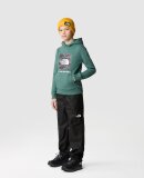 THE NORTH FACE - THE NORTH FACE HOODIE TIL BØRN TEENS BOX P/O HOODIE