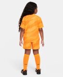 NIKE - NIKE TRÆNINGSSÆT TIL BØRN KIDS LIVERPOOL LK KIT GK