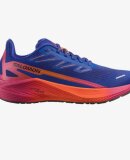 SALOMON - SALOMON DAME LØBESKO DAMEAERO BLAZE 2 ISD