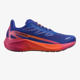 SALOMON - W BLAZE 2 ISD