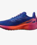 SALOMON - W BLAZE 2 ISD