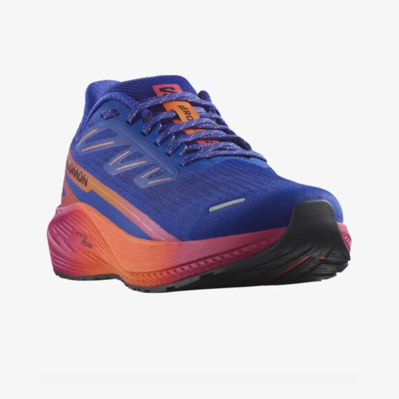 SALOMON - W BLAZE 2 ISD