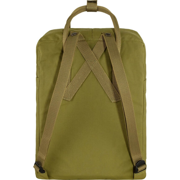 FJALLRAVEN - KÅNKEN