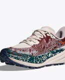 HOKA - M SPEEDGOAT 6