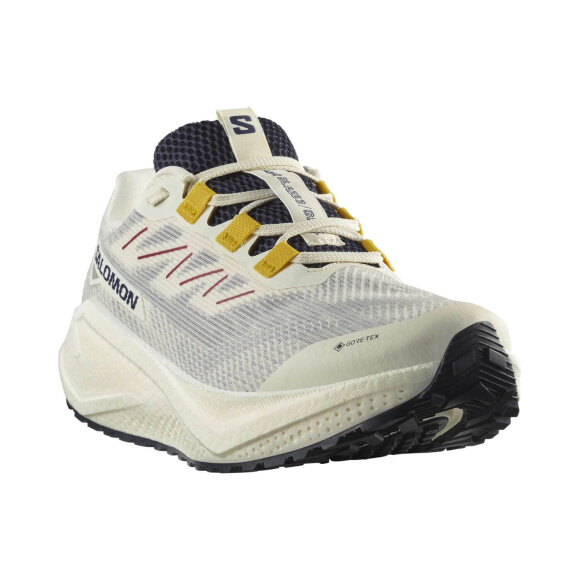 SALOMON - M AERO BLAZE 3 GRVL GTX