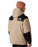 THE NORTH FACE - M MOUNTAIN DOWN JACKET