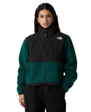THE NORTH FACE - W RETRO DENALI JACKET