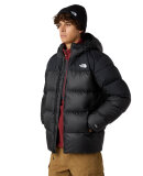 THE NORTH FACE - M DIABLO DOWN 2.0 HOODIE THE NORTH FACE - M DIABLO DOWN 2.0 HOODIE