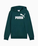 PUMA DENMARK - B ESS NO.1 LOGO HOODIE PUMA DENMARK - B ESS NO.1 LOGO HOODIE