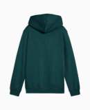 PUMA DENMARK - B ESS NO.1 LOGO HOODIE PUMA DENMARK - B ESS NO.1 LOGO HOODIE