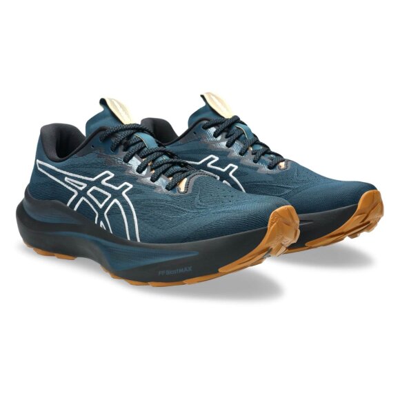 ASICS - M GT-2000 14 TR