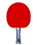 DOUBLE FISH - 3A+TABLE TENNIS RACKET