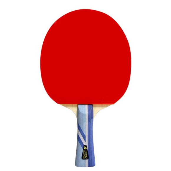 DOUBLE FISH - 3A+TABLE TENNIS RACKET