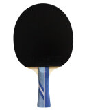 DOUBLE FISH - 3A+TABLE TENNIS RACKET