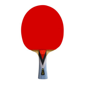Double Fish - 4A+ TABLE TENNIS RACKET