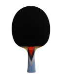 DOUBLE FISH - 4A+ TABLE TENNIS RACKET