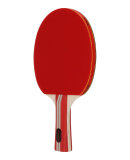 SPORTS GROUP - DYNAMIC TT SET 4*