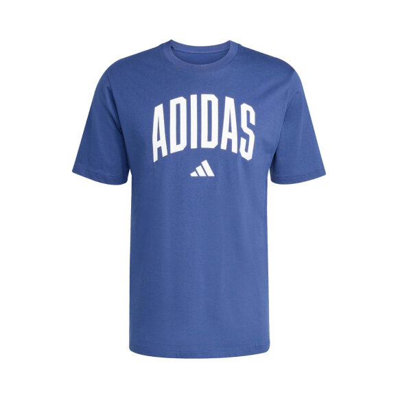 ADIDAS  - M COLLEGIATE TEE