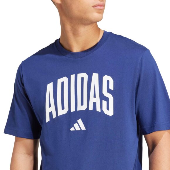 ADIDAS  - M COLLEGIATE TEE