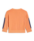 ADIDAS  - INF 3S FT JOG 240 SET