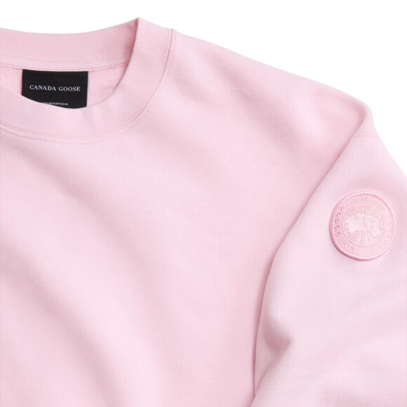 CANADA GOOSE - W WANDER CREW TONAL DISC