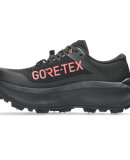 ASICS - W FUJISETSU MAX GTX